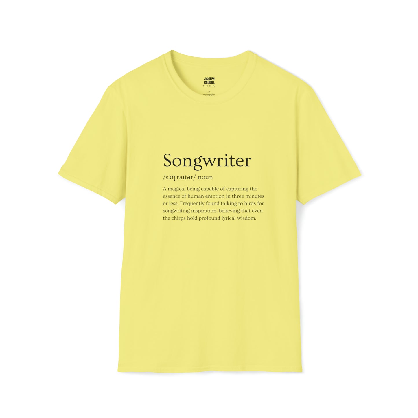 Songwriter Definition T-Shirt